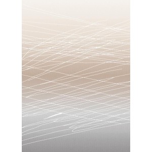 Ковер Визион 22118 25352